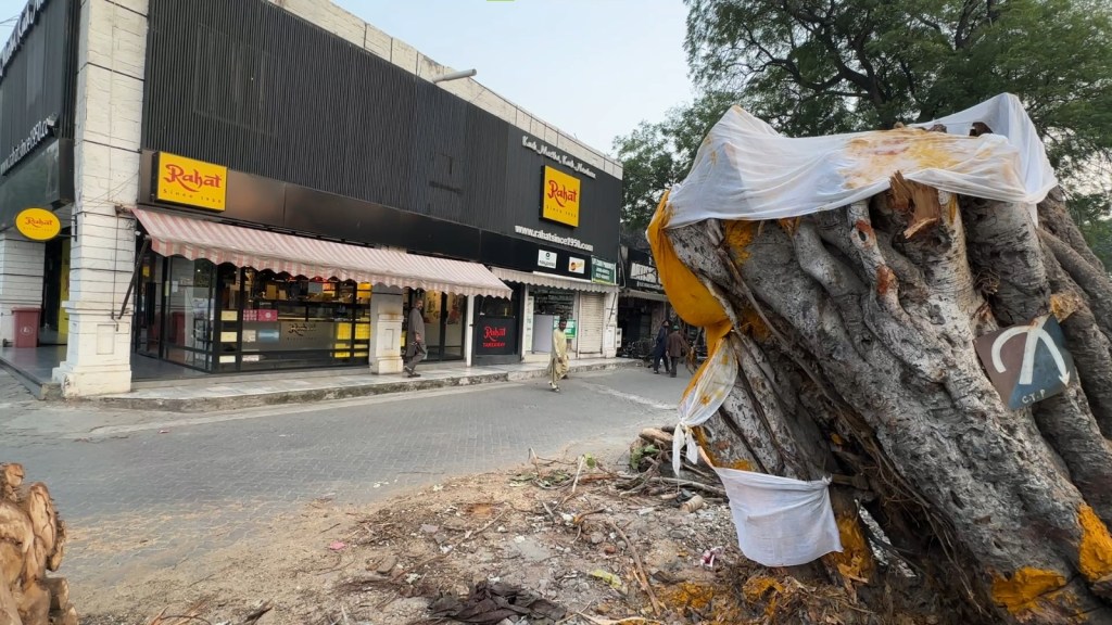 They Cut The Tree That Raised&nbsp;Lahore